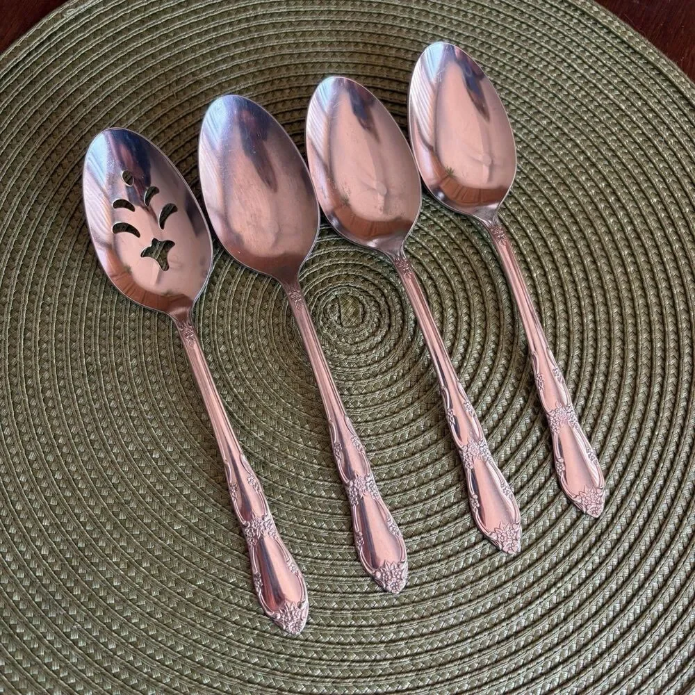 Serving Spoons Set Of 4 Oneida Fenway Wm A Rogers Daydream Stainless Flatware